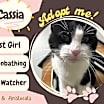 Thumbnail photo of Cassia #2