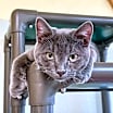 Thumbnail photo of Danny Boy #1