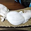 Thumbnail photo of Snow White #3