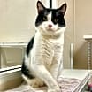 Thumbnail photo of Biggie #2