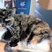 Thumbnail photo of Emily #2