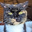 Thumbnail photo of Emily #3