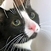 Thumbnail photo of Boots Zander #1
