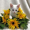 Thumbnail photo of Sally #1
