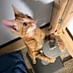 Thumbnail photo of Hanson #4
