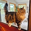 Thumbnail photo of Samantha #1