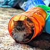 Thumbnail photo of Samantha #2