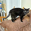 Thumbnail photo of Sonnie #4