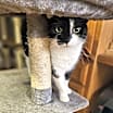 Thumbnail photo of Scarlett #2