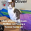 Thumbnail photo of Oliver #1