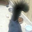 Thumbnail photo of Heidy #diamond-in-the-rough #2