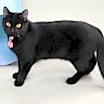 Thumbnail photo of Franny #2