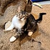 Thumbnail photo of Oscar #1