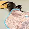 Thumbnail photo of Oscar #2