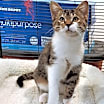 Thumbnail photo of Oscar #3