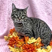 Thumbnail photo of Lori #1