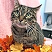 Thumbnail photo of Lori #2
