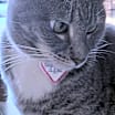 Thumbnail photo of Snuggles #2
