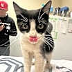 Thumbnail photo of Maia #3
