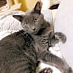 Thumbnail photo of Petey #3