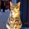 Thumbnail photo of Eloise #1