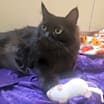 Thumbnail photo of Heidy #diamond-in-the-rough #3