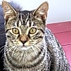 Thumbnail photo of Madelynn #1