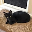 Thumbnail photo of Mica #1