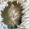 Thumbnail photo of Shirley #2