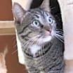 Thumbnail photo of Kingston #2