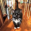 Thumbnail photo of Elvira #2