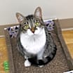 Thumbnail photo of Ellie Mae #1