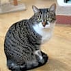 Thumbnail photo of Ellie Mae #2