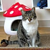Thumbnail photo of Ellie Mae #3