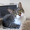 Thumbnail photo of Ellie Mae #4