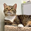 Thumbnail photo of Freya (LA Raya) #1