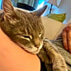 Thumbnail photo of Logan #3