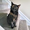 Thumbnail photo of Cecily #2