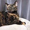 Thumbnail photo of Cecily #3