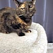 Thumbnail photo of Cecily #4