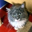 Thumbnail photo of Sprout #2