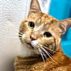 Thumbnail photo of Michael #2