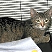 Thumbnail photo of Charity #2