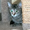 Thumbnail photo of Charity #3