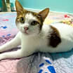 Thumbnail photo of Vinny #4