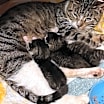 Thumbnail photo of Holly Berry (I'm in foster care!) #3