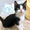 Thumbnail photo of Oliver #2