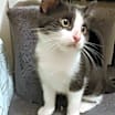 Thumbnail photo of Oliver #3