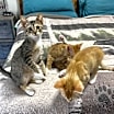 Thumbnail photo of Meredith #1