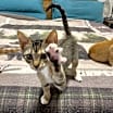 Thumbnail photo of Meredith #2